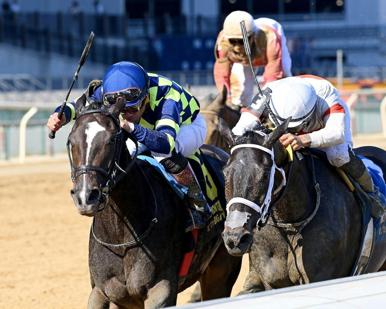 Iron Orchard wins the Frizette at Aqueduct.
