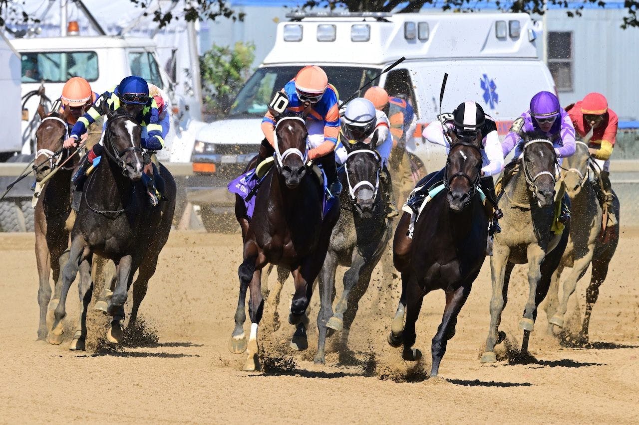 Iron Orchard wins the Frizette at Aqueduct.