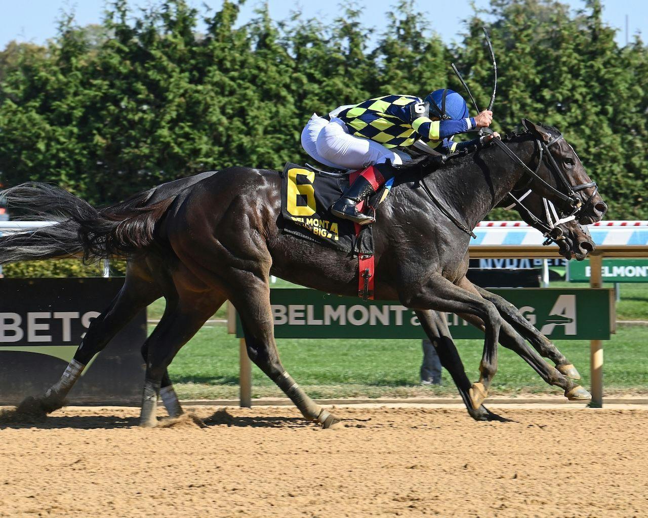 Iron Orchard wins the Frizette at Aqueduct.