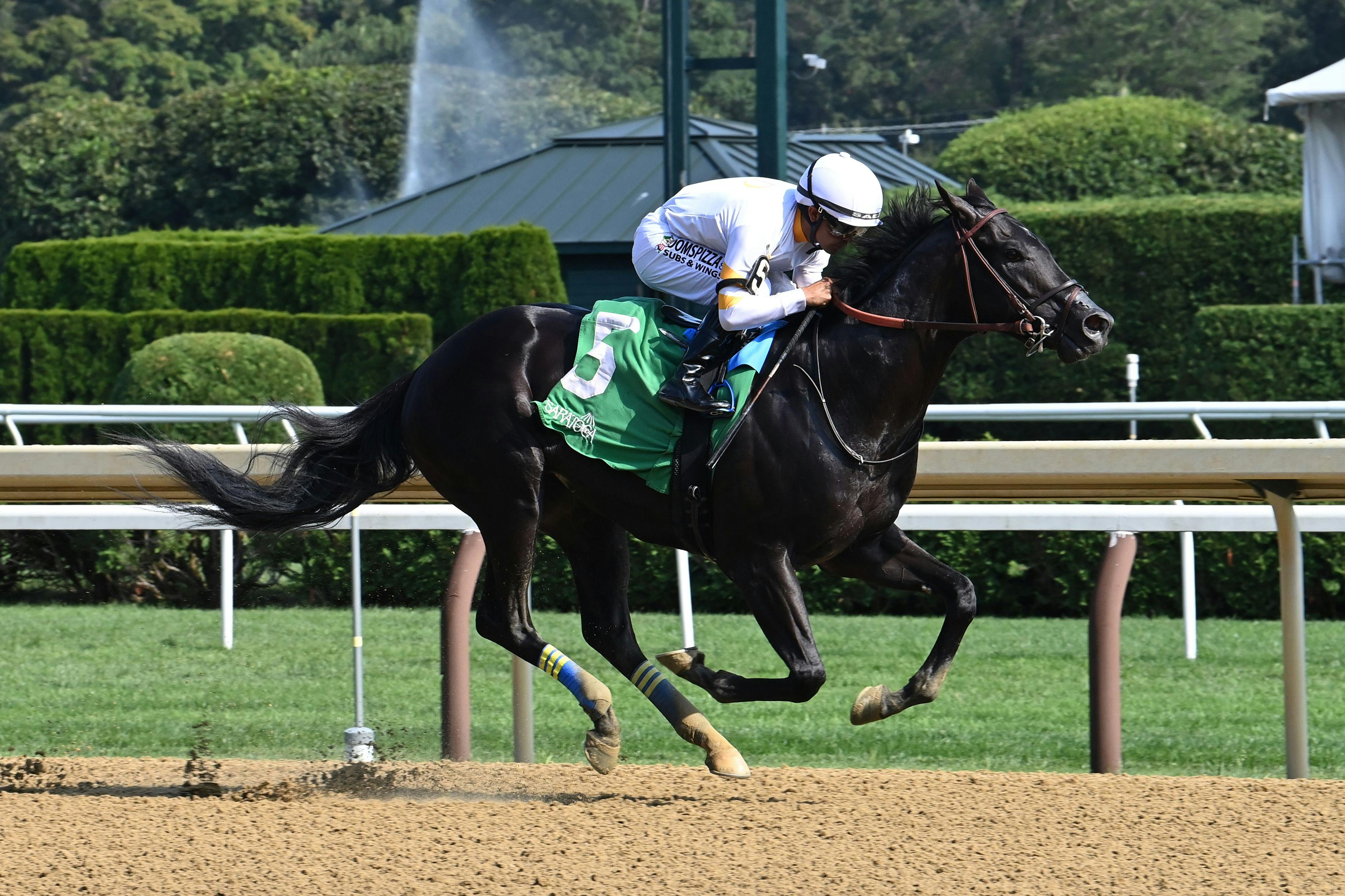 It's Our Time was a sensational debut winner at Saratoga