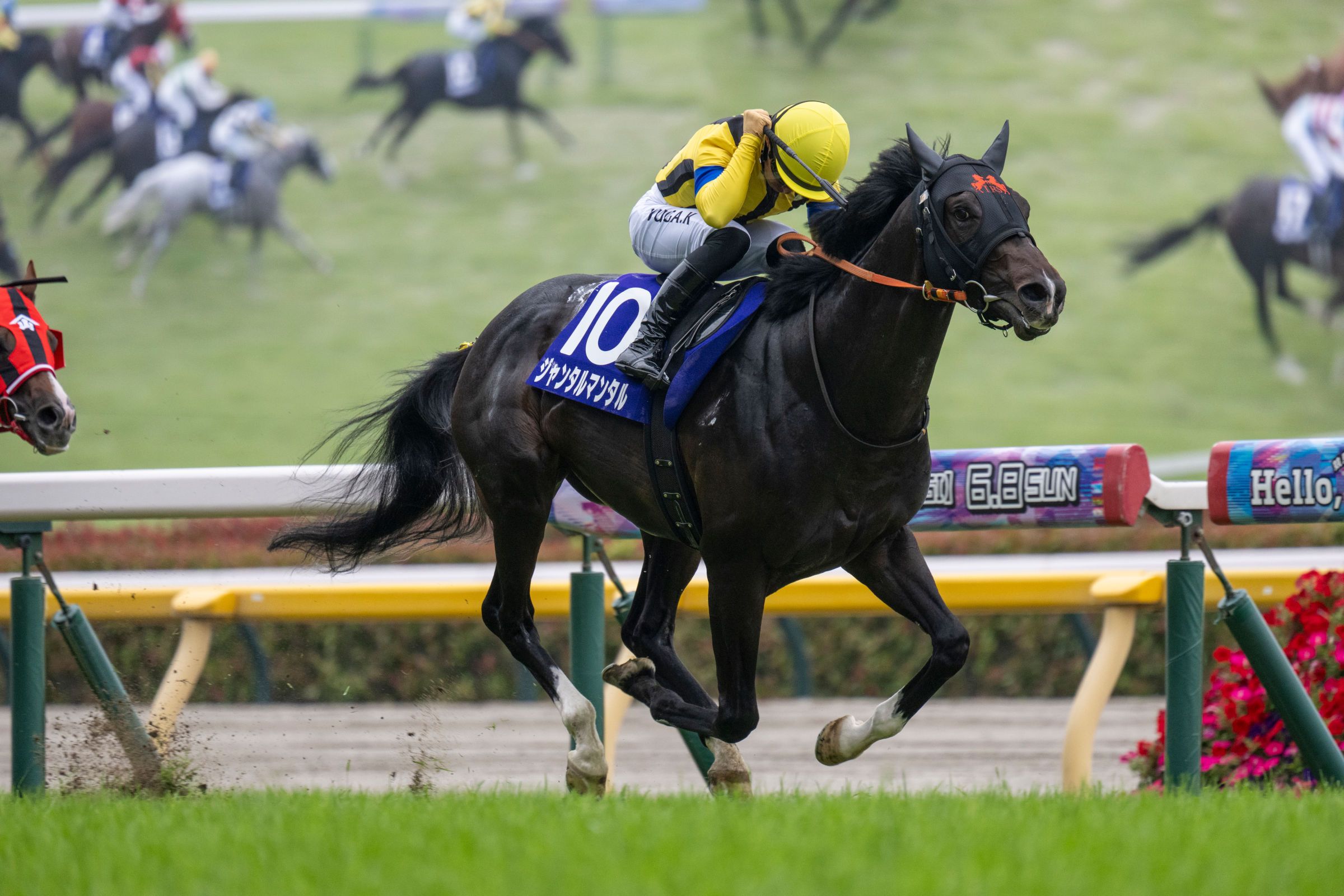 Jantar Mantar stalked and pounced in the Yasuda Kinen