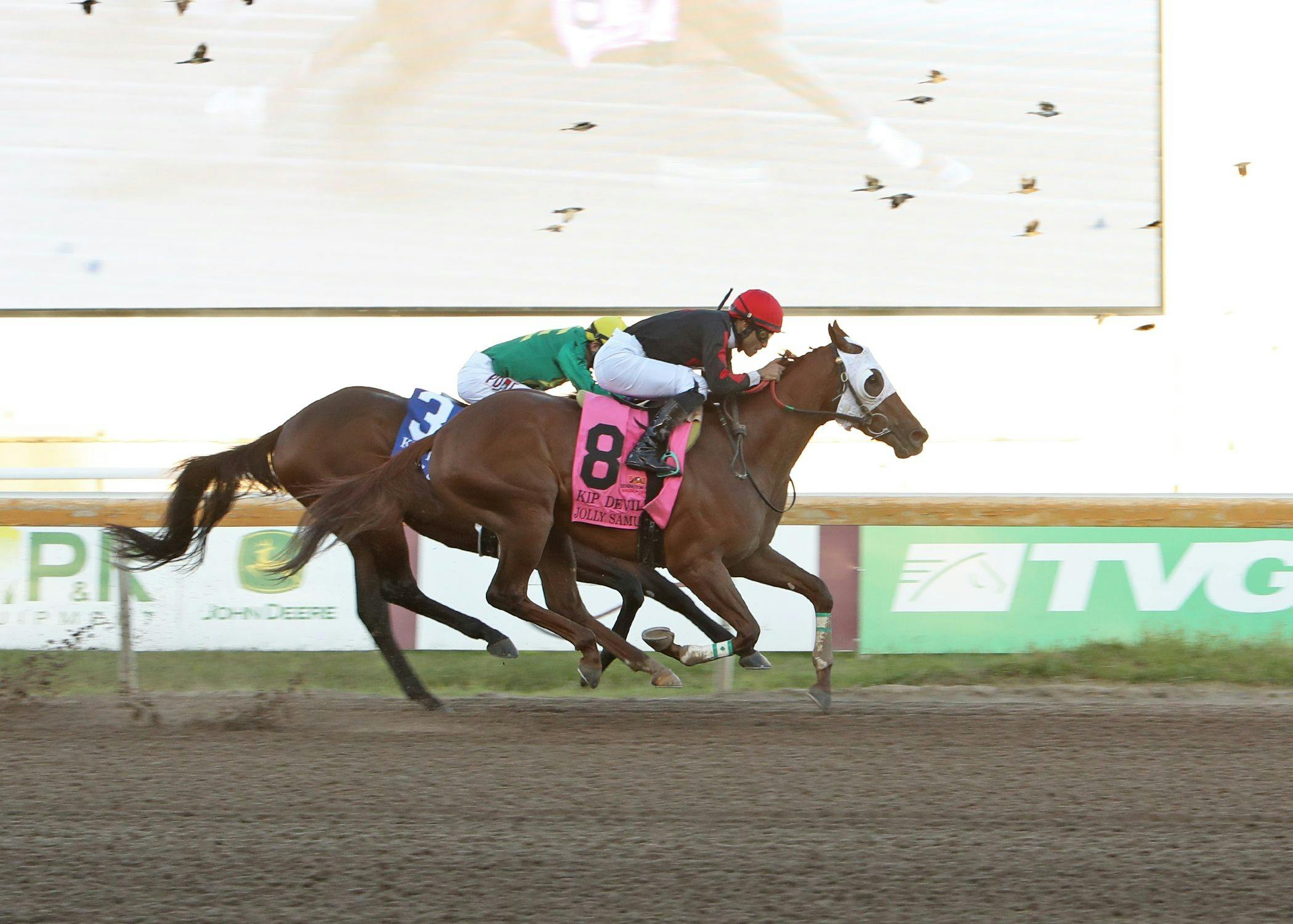 Jolly Samurai wins the Kip Deville S. (Photo by Dustin Orona/Remington Park)