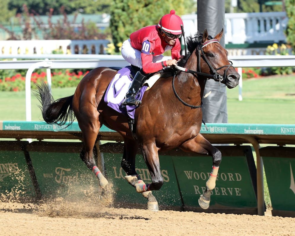 Tipsheet: 2025 Risen Star Stakes | TwinSpires