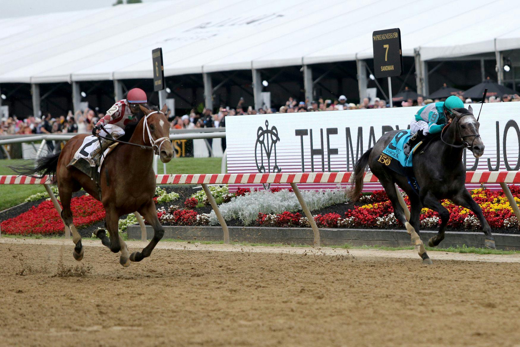 Gosger about to be collared by Journalism in the Preakness