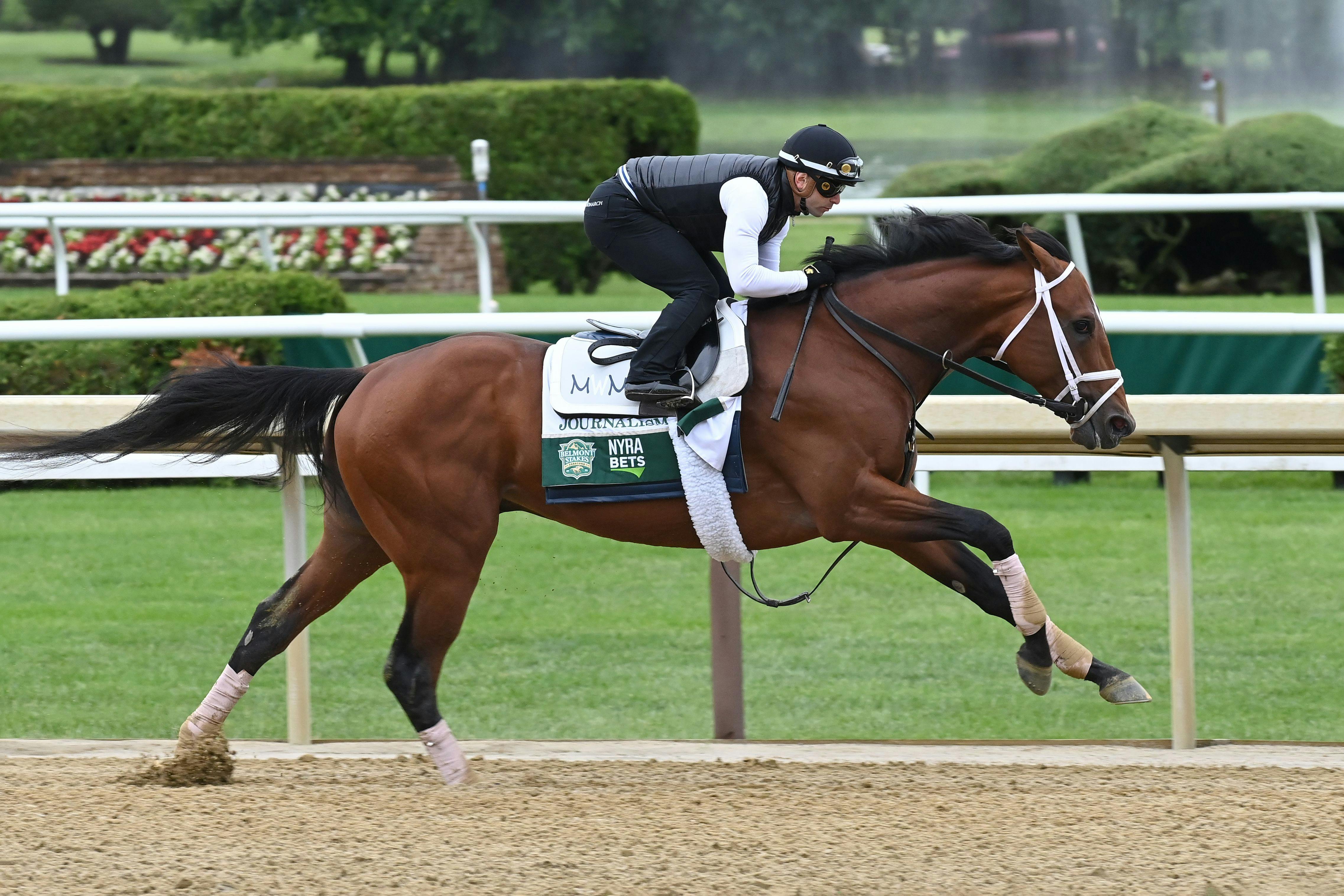 Journalism trains at Saratoga for Belmont Stakes 2025 (photo by Coglianese Photos)