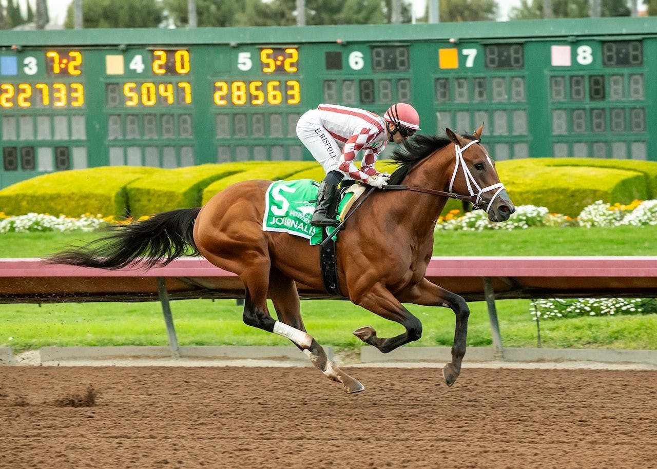 Journalism winning the Los Alamitos Futurity (G2) at Los Alamitos (Photo by Benoit Photo)