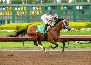 Journalism winning the Los Alamitos Futurity (G2) at Los Alamitos (Photo by Benoit Photo)