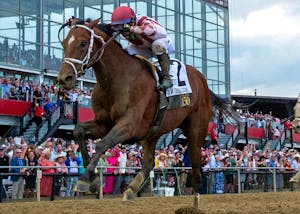 Journalism wins Preakness Stakes 150 at Pimlico (Photo by MJC/Jim Duley)