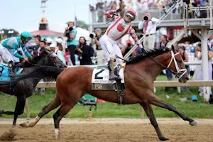 Journalism wins the 2025 Preakness Stakes 