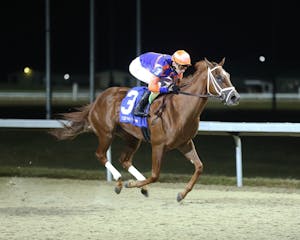 Julia's Dream wins the Gowell S. at Turfway Park. 