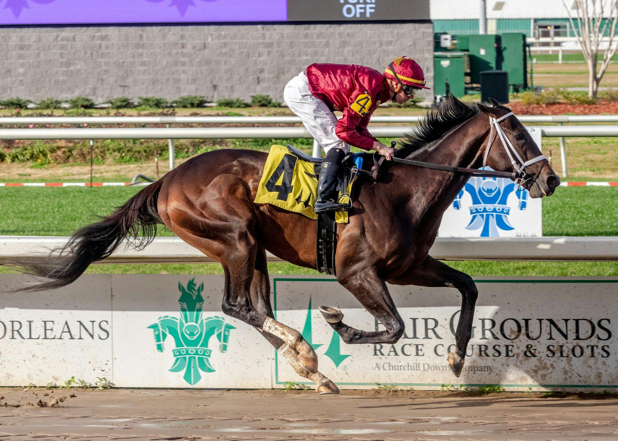 Just a Touch winning his debut at Fair Grounds (Photo by Hodges Photography)