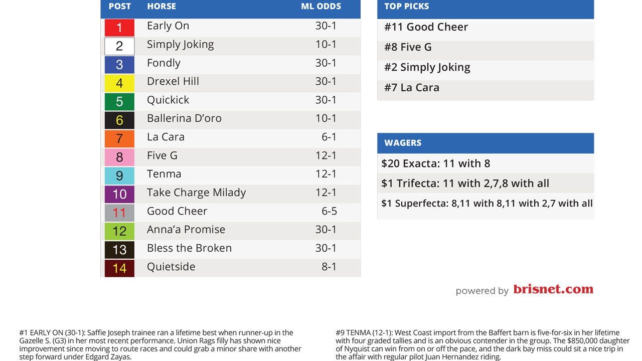 Kentucky Derby Betting Guide 2025 - KY Oaks Tipsheet