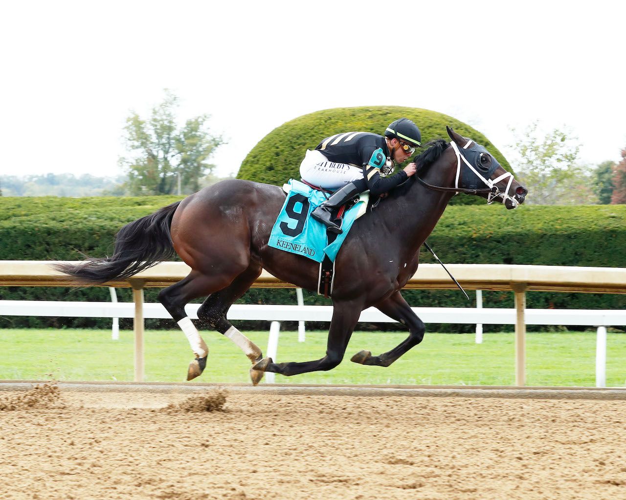 Meet The Contenders 2024 Jerome TwinSpires   KHANATE 10112023 CP Keeneland 03ead632c4 