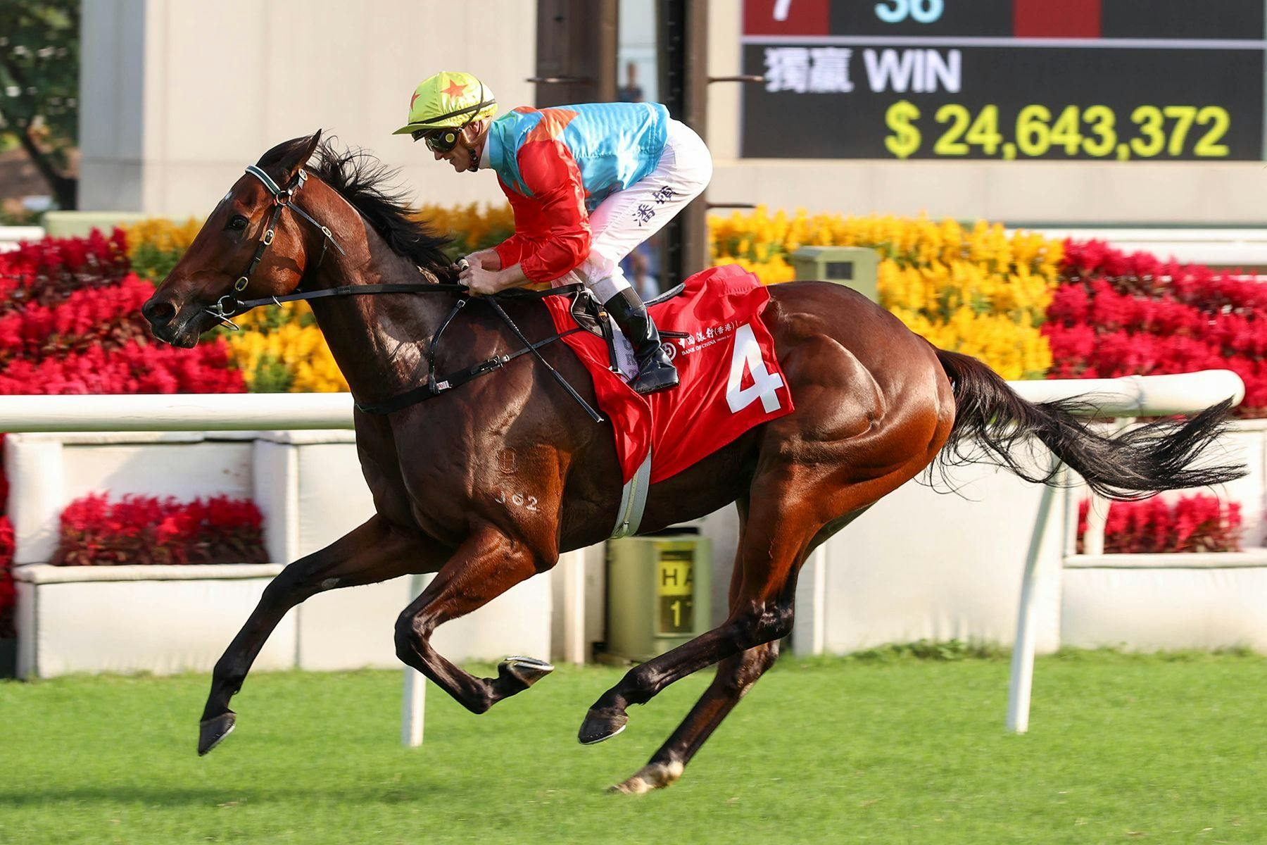 Ka Ying Rising smashes the Sha Tin course record in the Jockey Club Sprint (Photo by Hong Kong Jockey Club)