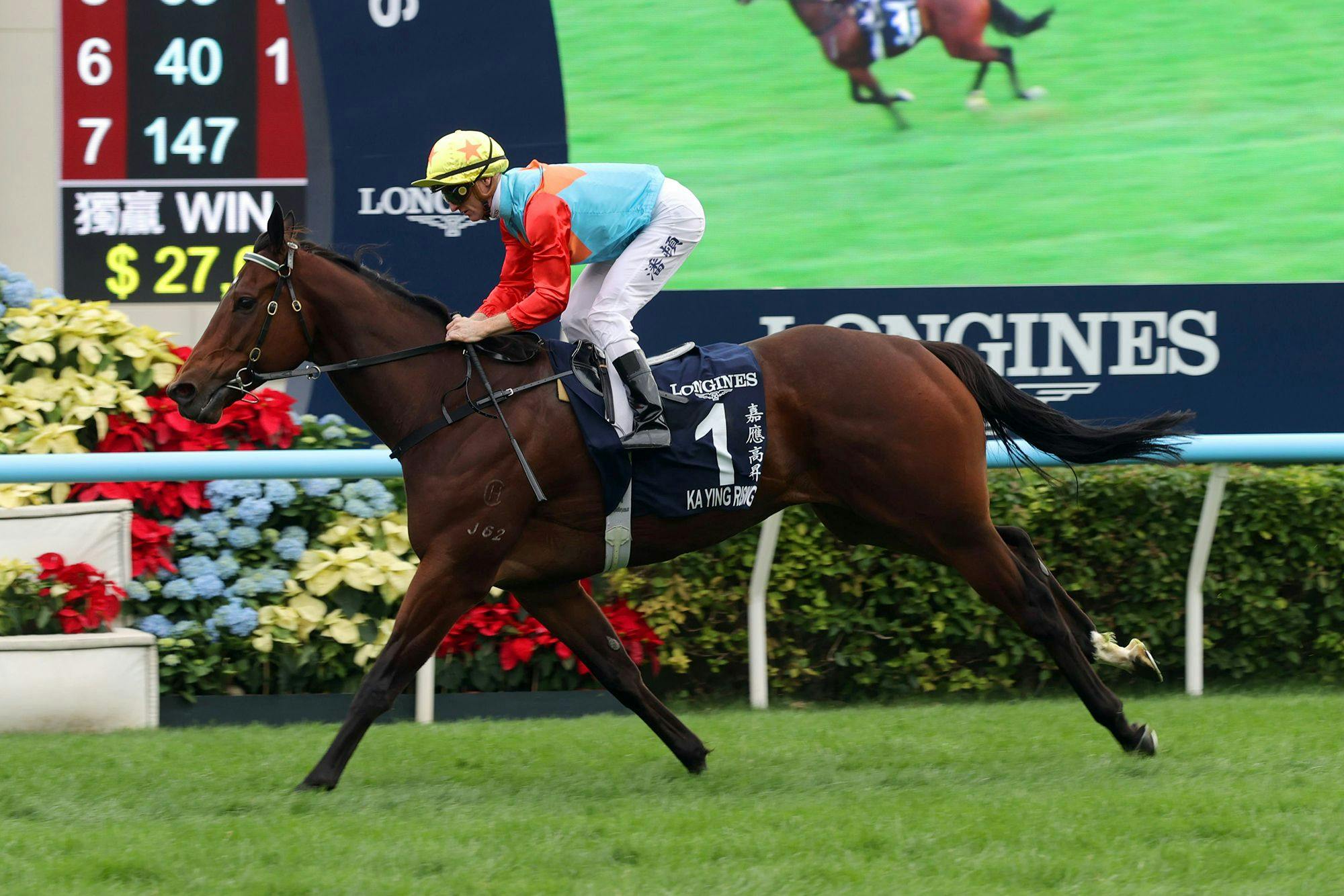 Ka Ying Rising made it look easy when repeating in the Hong Kong Sprint (G1)