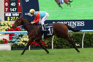 Ka Ying Rising made it look easy when repeating in the Hong Kong Sprint (G1)