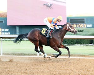 Kale's Angel romps in the Advent S. at Oaklawn Park