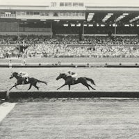 Run the Ganlet with Bob Woodhouse up, winning the United Nations Hcp in Atlantic City in 1971.