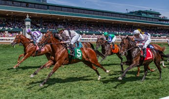 Beginner’s guide: How to read horse racing form lines | TwinSpires