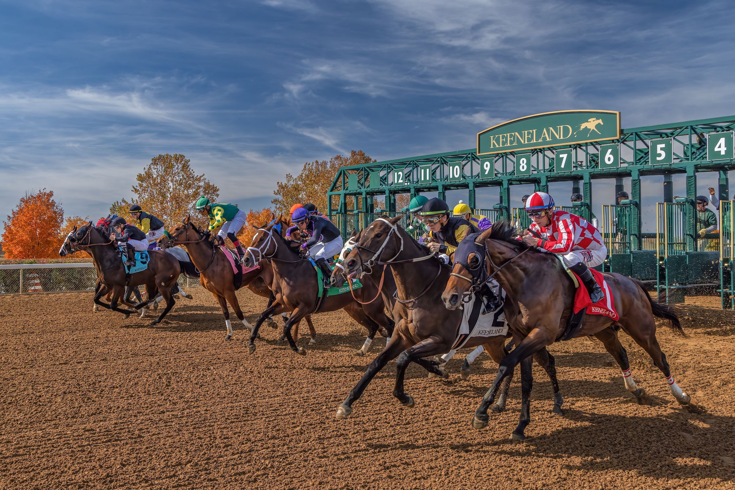 Keeneland Expert Picks: Pick 5 Ticket For April 7, 2024 | TwinSpires