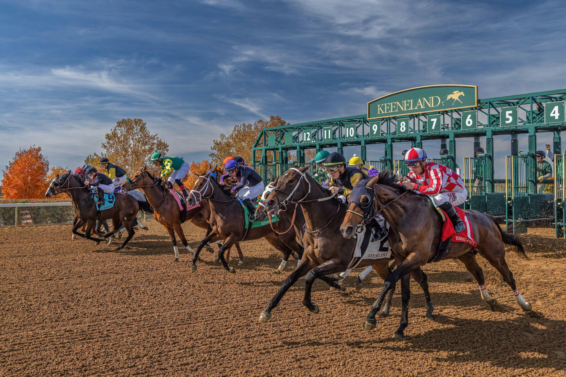 Keeneland (Photo courtesy of Keeneland)