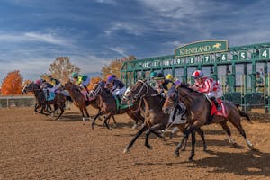Keeneland (Photo courtesy of Keeneland)