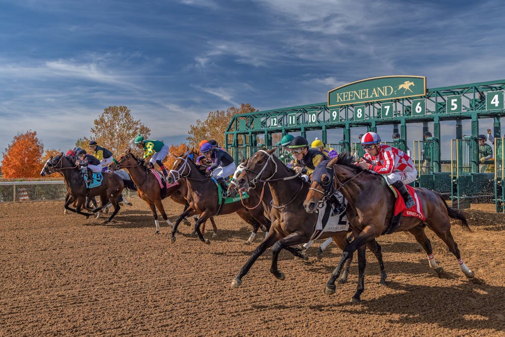 Keeneland expert picks Pick 5 ticket for April 7, 2024 TwinSpires