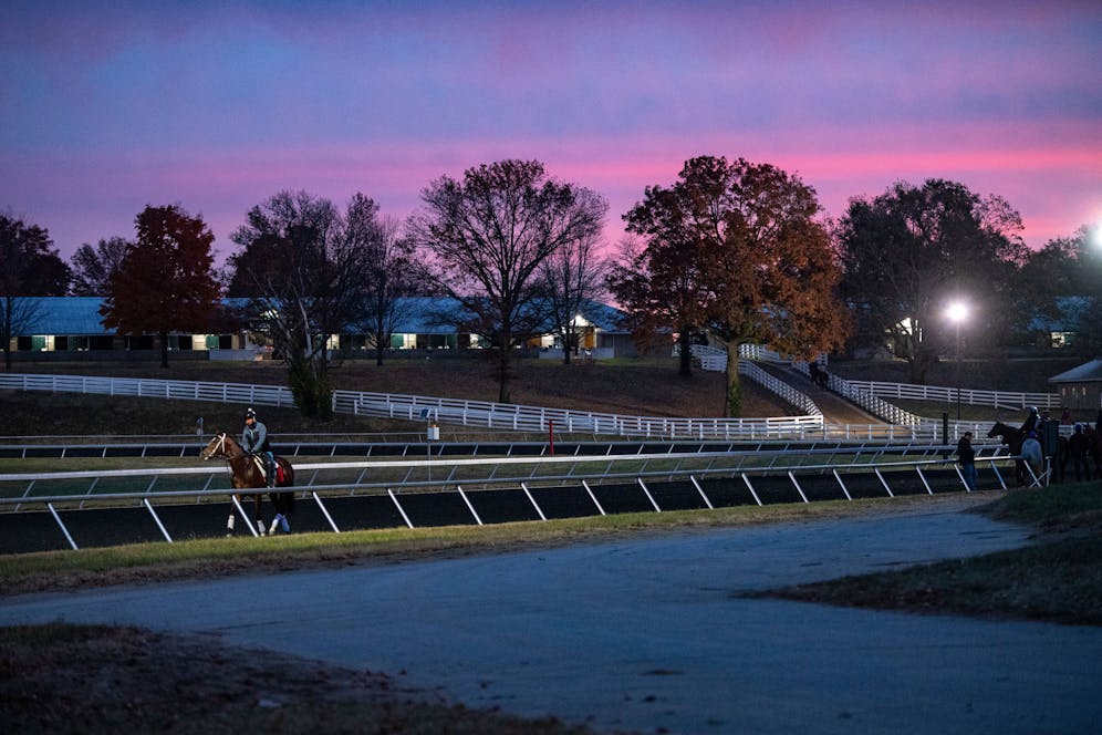 Scott Shapiro's picks for Oct. 26 at Keeneland TwinSpires