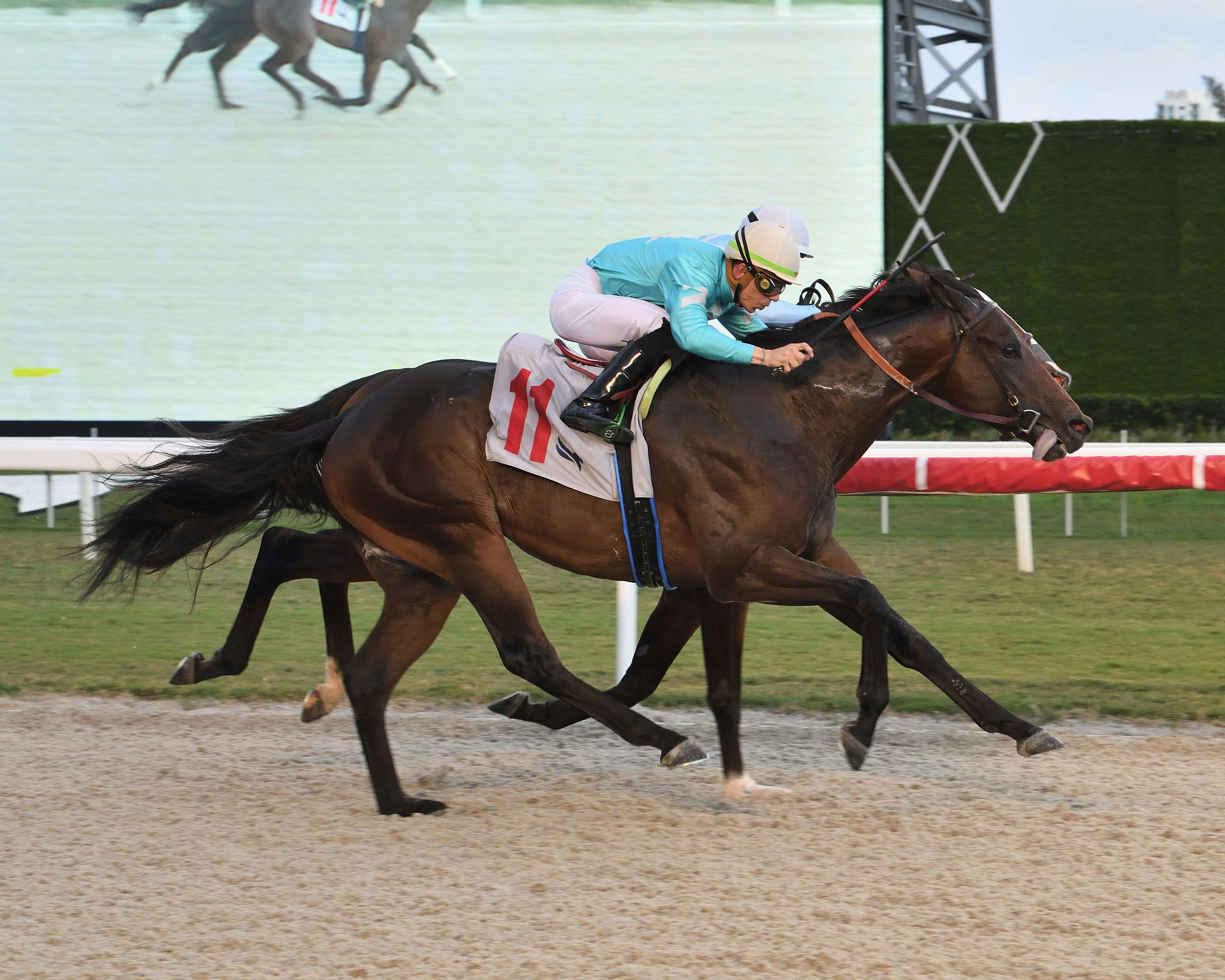 King of Ashes wins at Gulfstream Park. 