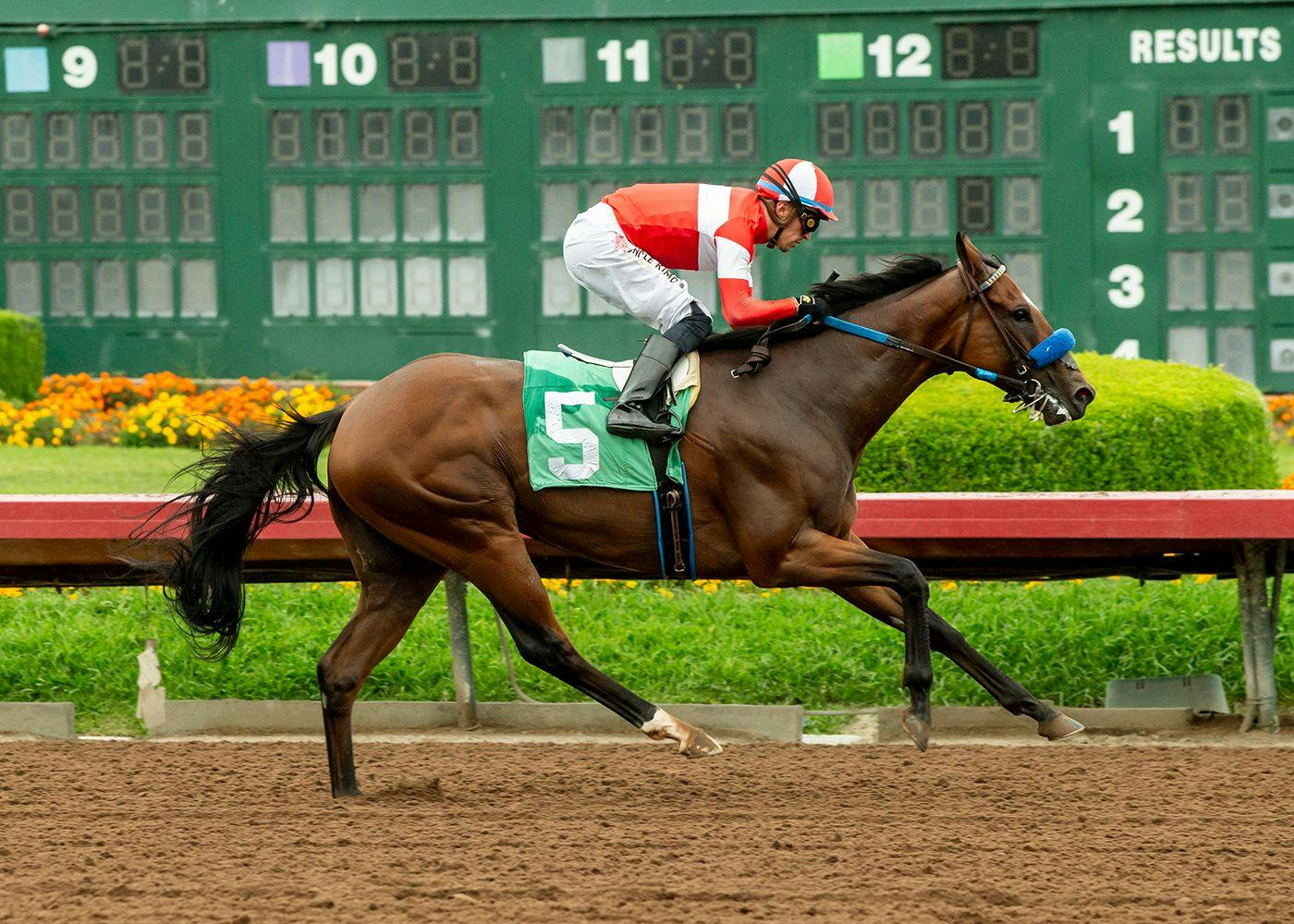 Kings River Knight wins the E.B. Johnson S. at Los Alamitos.