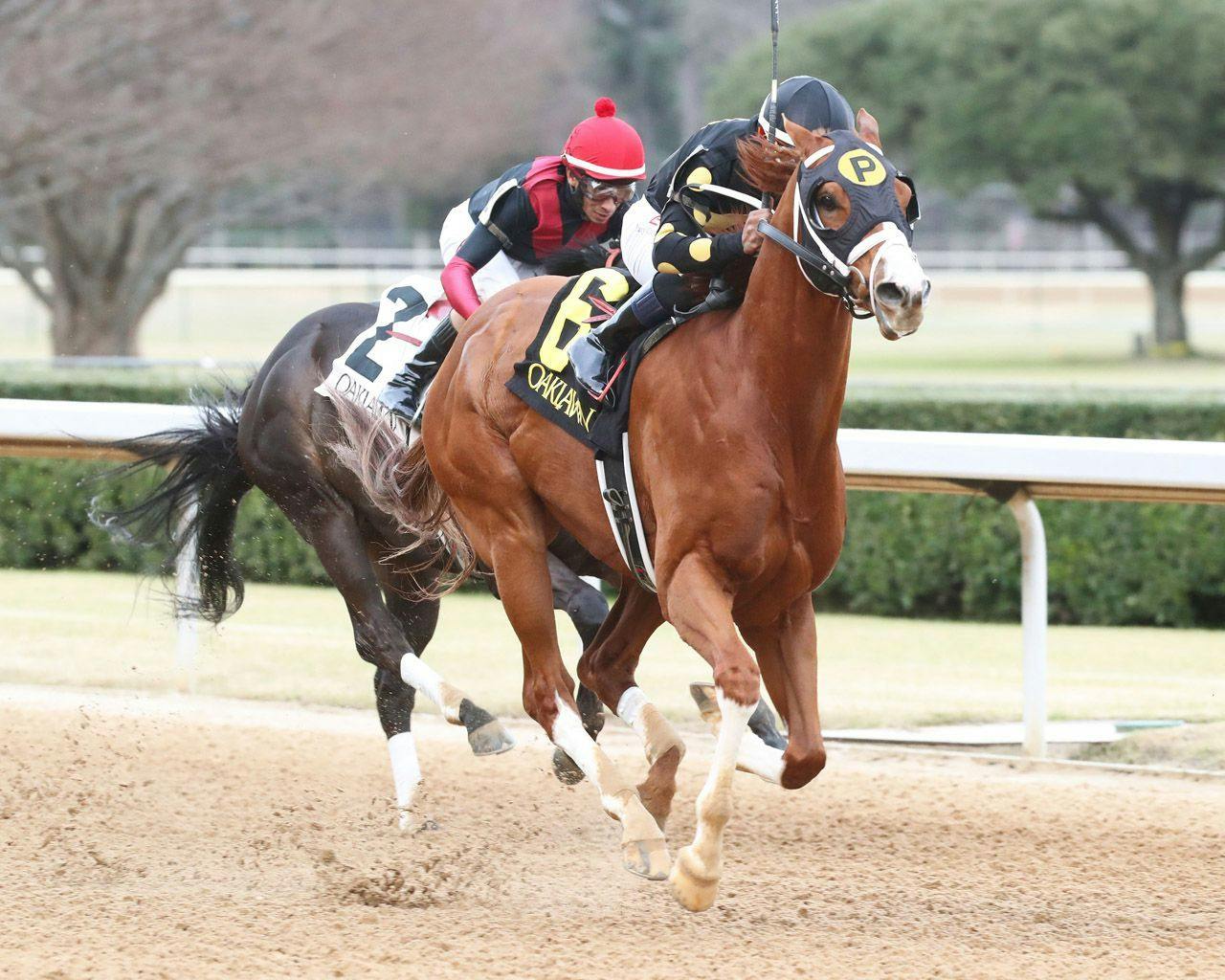 Exotics plays for the Whitmore Stakes on Mar. 19 TwinSpires