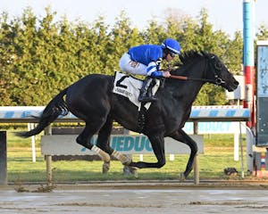 Knightsbridge rolled in an allowance at Aqueduct in first-time blinkers