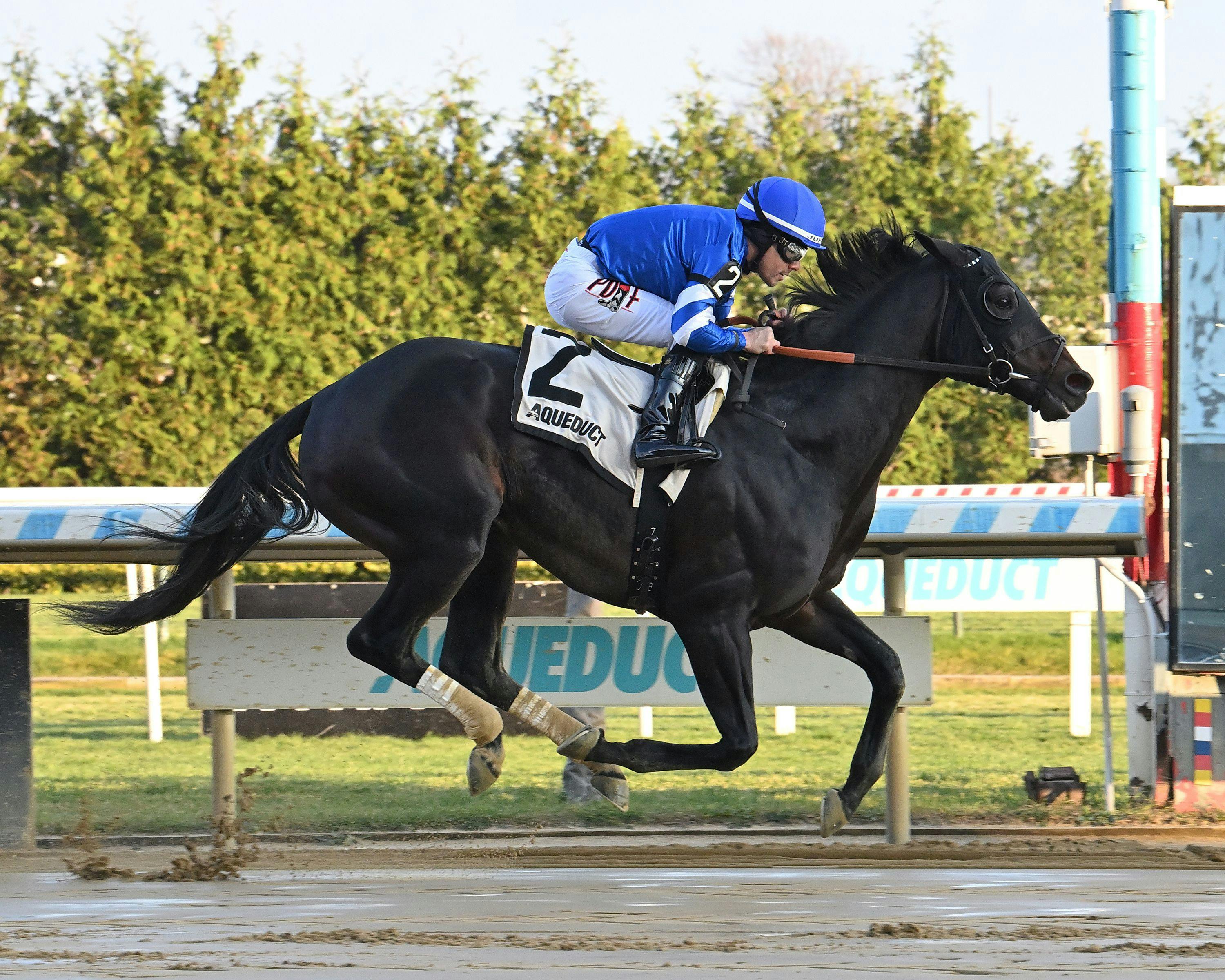 Knightsbridge rolled in an allowance at Aqueduct in first-time blinkers