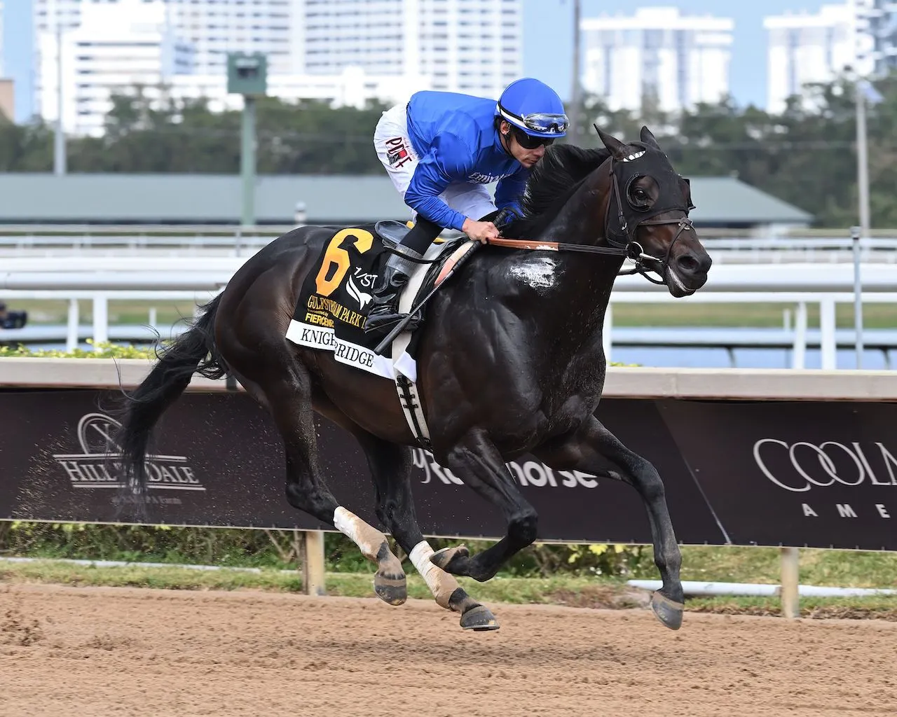 Knightsbridge wins the Gulfstream Park Mile at Gulfstream Park.