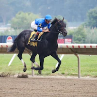 Knightsbridge wins the Monmouth Cup at Monmouth Park.