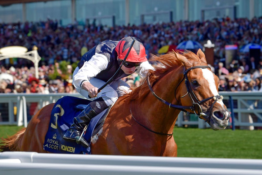 Spot Plays for 2024 British Champions Day at Ascot TwinSpires