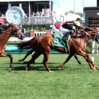 Lagynos wins the Opening Verse at Churchill Downs.