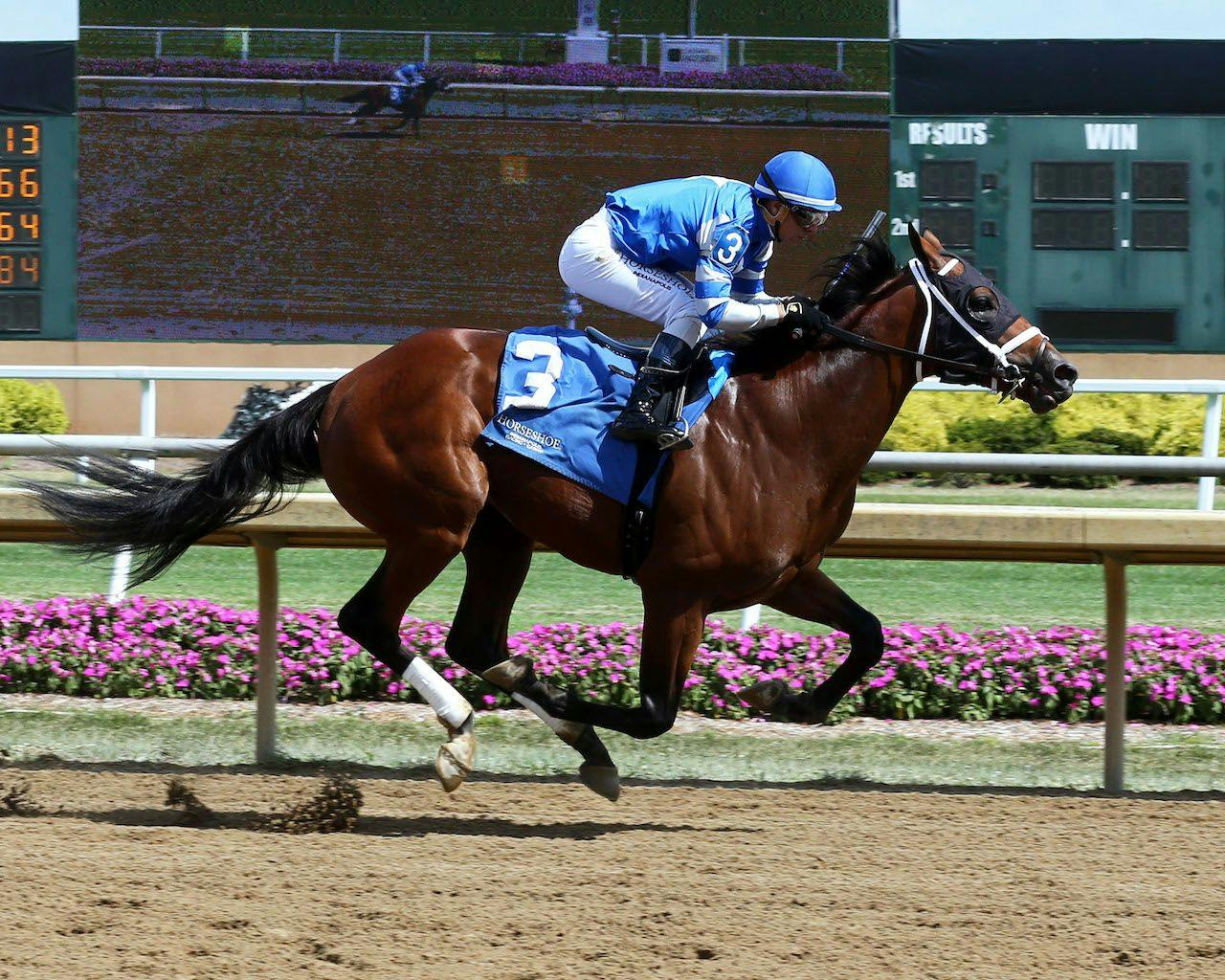 Tipsheet 2024 Withers Stakes TwinSpires