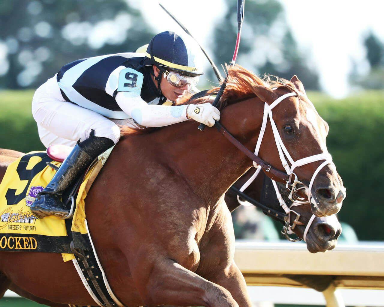 Locked winning the Breeders' Futurity (G1) at Keeneland (Photo by Coady Photography/John Gallagher)