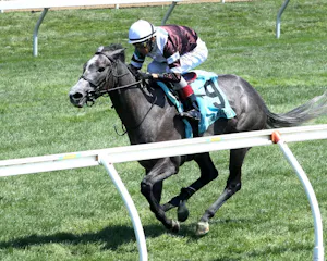 Luster wins at Keeneleand. 