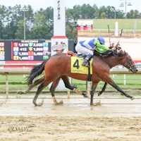 Luv Your Neighbor wins at Colonial Downs.