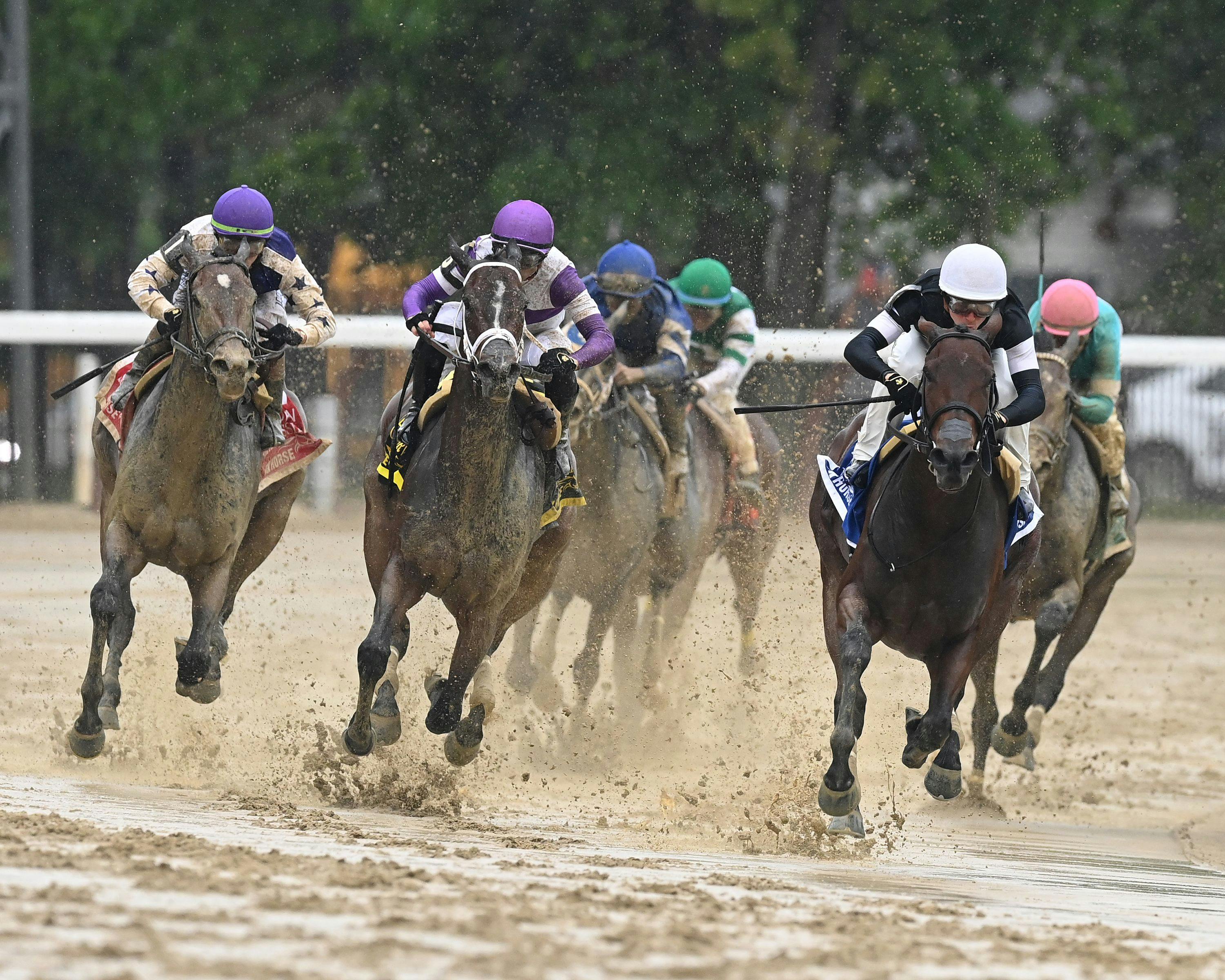 La Cara wins the Acorn S. at Saratoga 2025 (Photo by Coglianese Photos/Dom Napolitano)