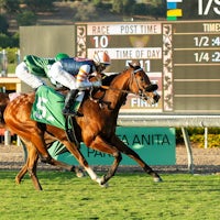 Later Than Planned wins at Santa Anita.