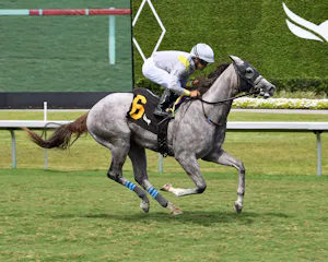 Lennilu romps in the Royal Palm Juvenile Fillies 