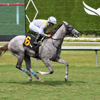 Lennilu romps in the Royal Palm Juvenile Fillies