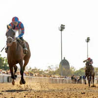 Life of Joy wins the Fair Grounds Oaks at Fair Grounds.