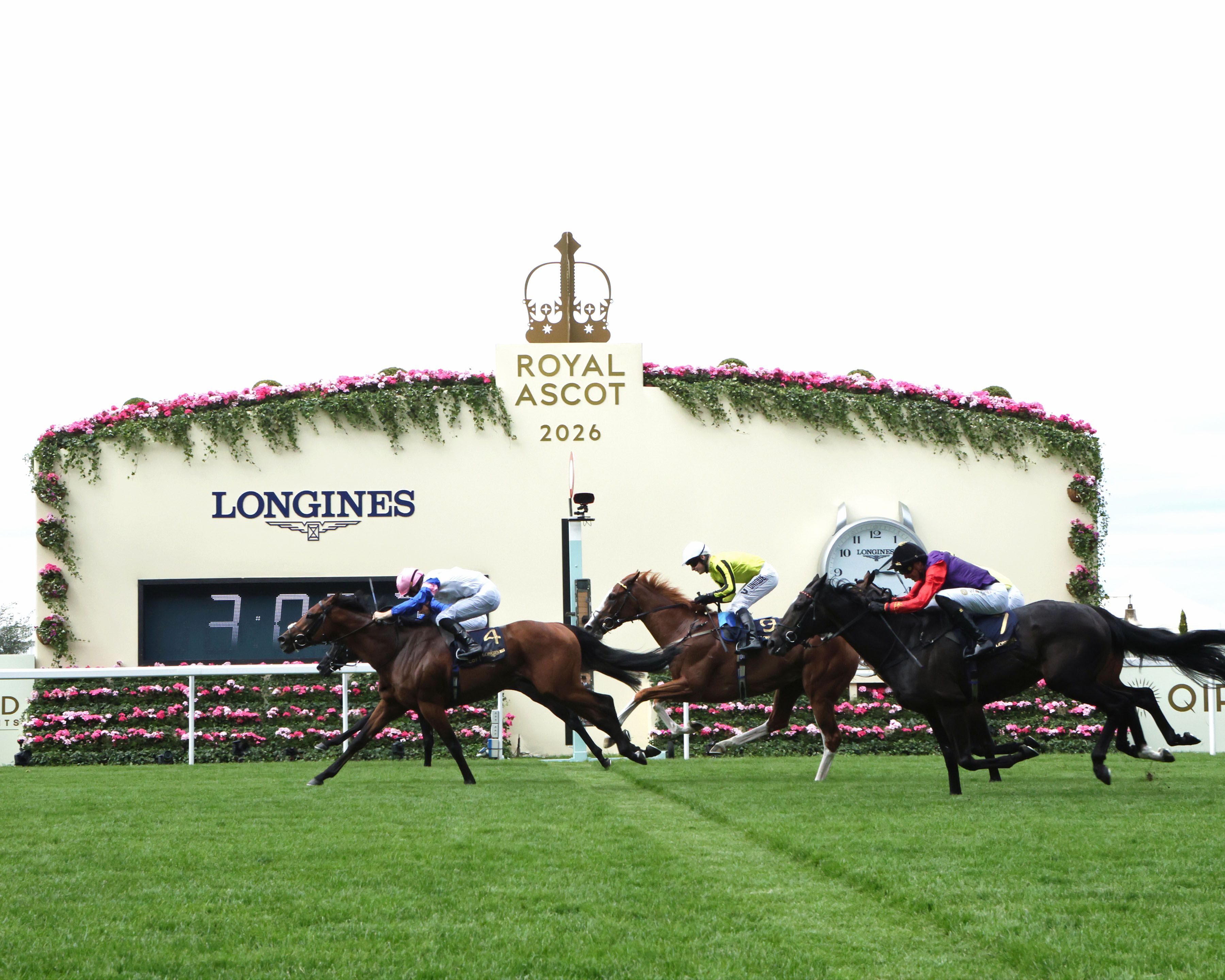 Limestone gets up in a photo-finish in the Queen's Vase (G2) at Royal Ascot