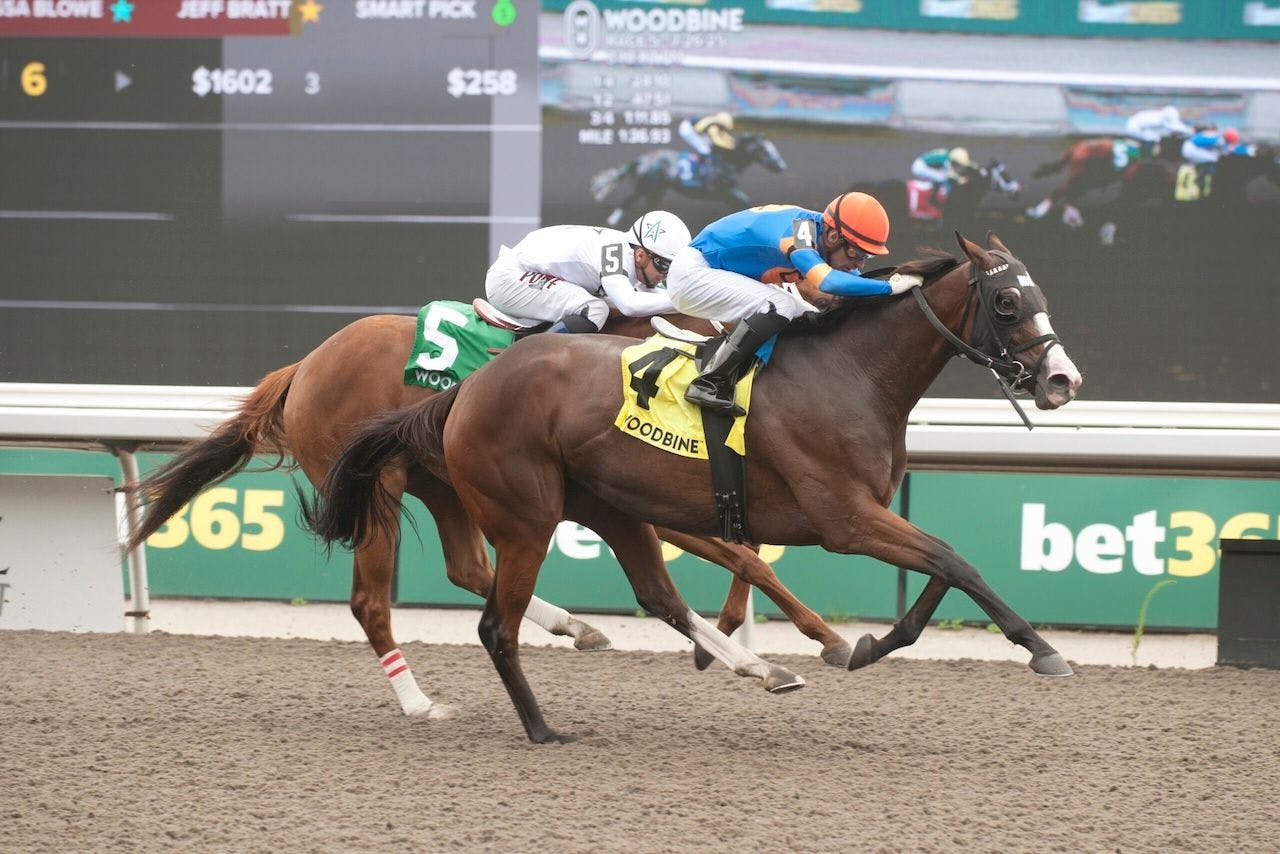 Literate wins the Trillium Stakes at Woodbine.