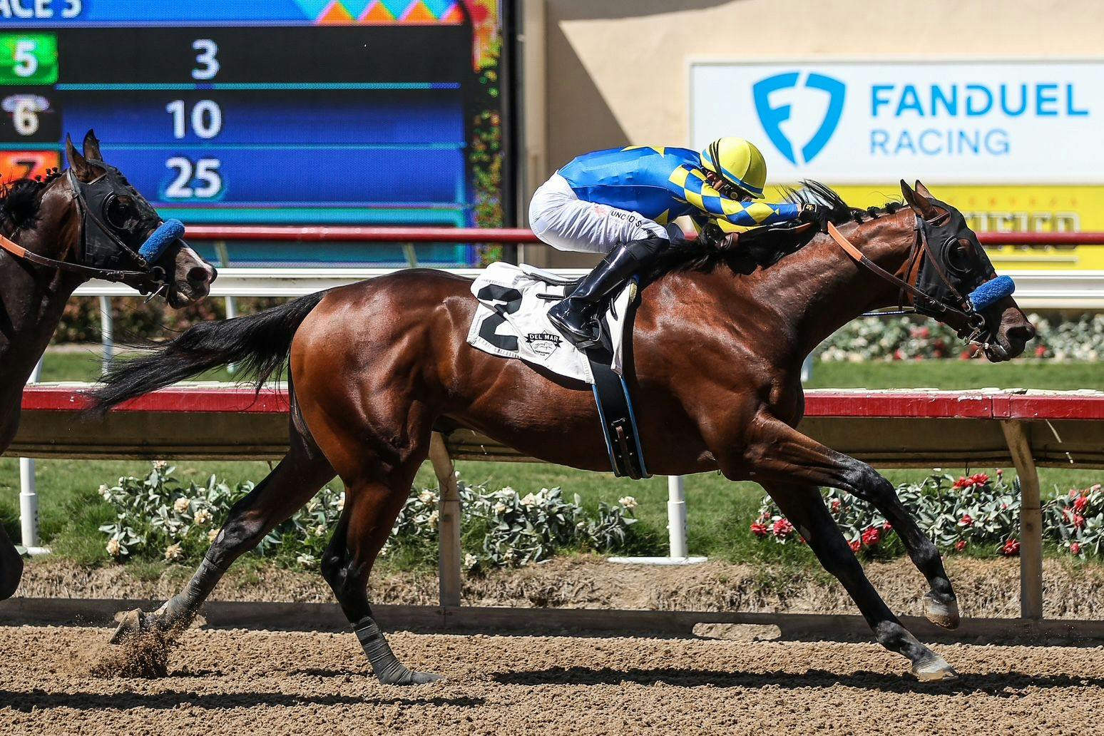 Litmus Test (Photo by Horsephotos.com)