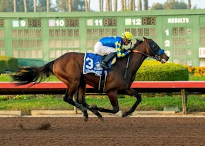 Litmus Test justified 3-5 favoritism in the Los Alamitos Futurity (G2)
